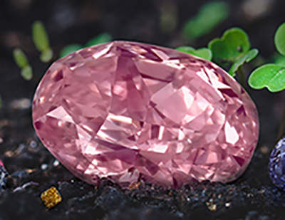 The Juliet Pink Diamond
