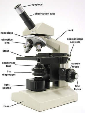 The photo above is a biological compound microscope. It is not a gemological microscope. It is for illustrative purpose only.