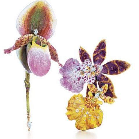 orchid brooches designed by farnham