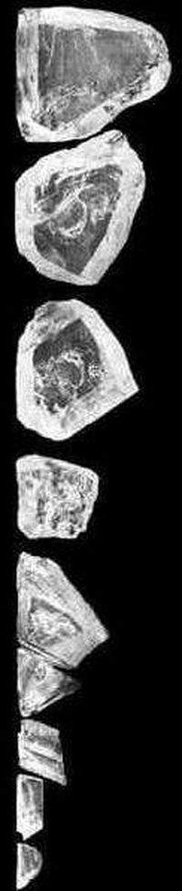 nine-large-pieces-of-the-cullinan-rough-diamond