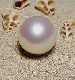The Paspaley Pearl, which is perhaps the most perfect pearl ever created by human intervention, gets its name from the Company, Paspaley Pearl Pty Ltd.