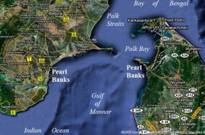 Pearl banks of the Gulf of Mannar