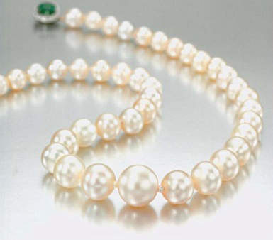 41 pearl single strand natural pearl necklace